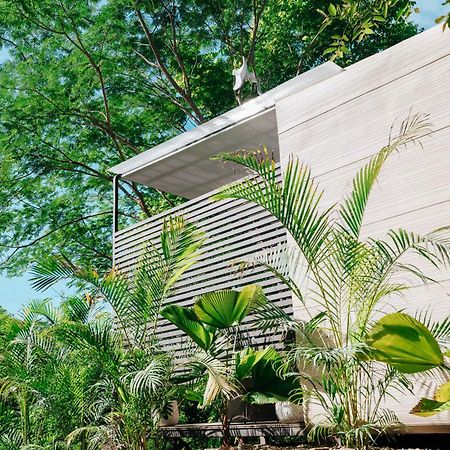 ホテル Alaya Yoga & Surf & Retreat プラヤ・ベナオ エクステリア 写真