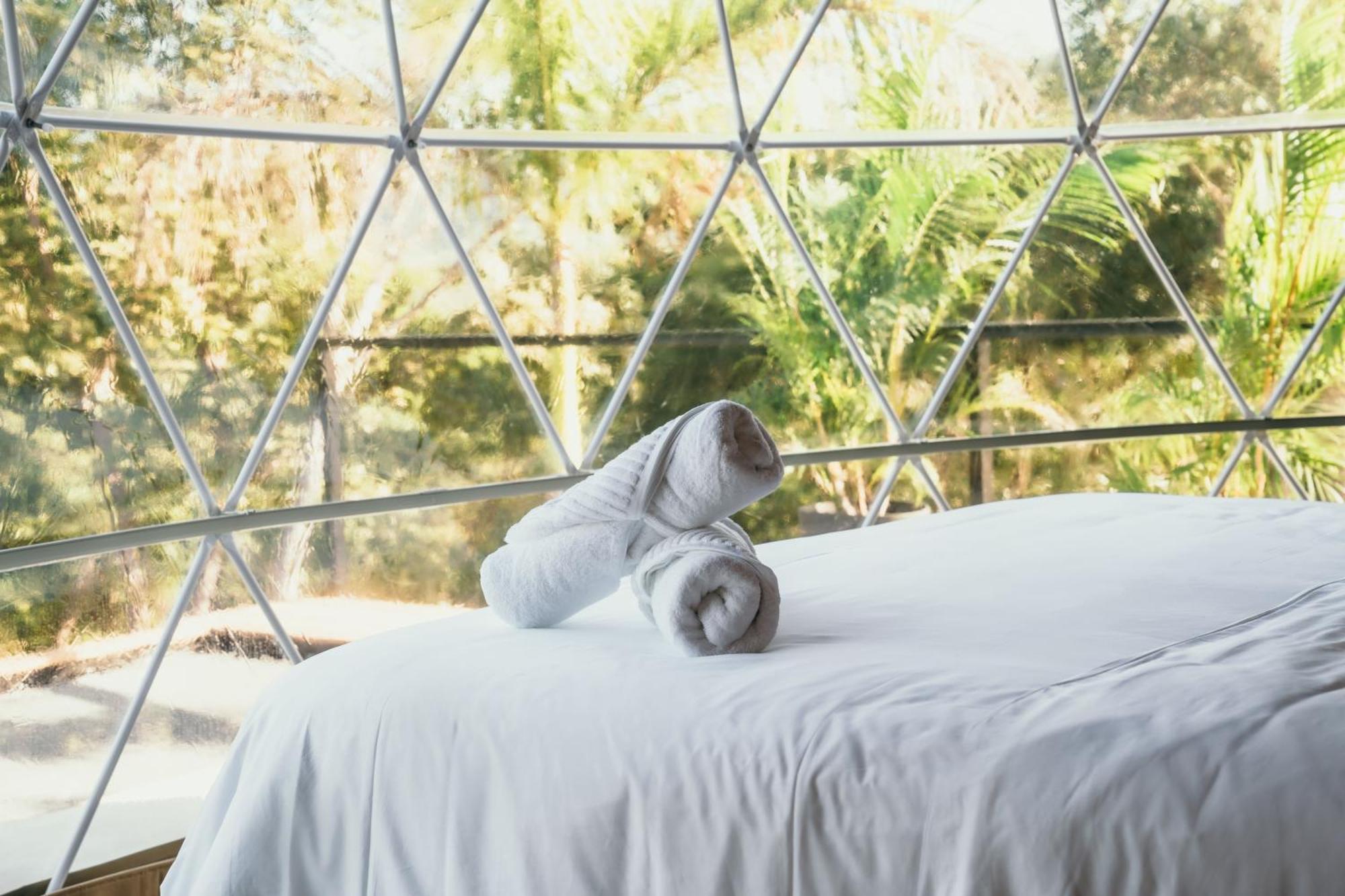 ホテル Alaya Yoga & Surf & Retreat プラヤ・ベナオ 部屋 写真