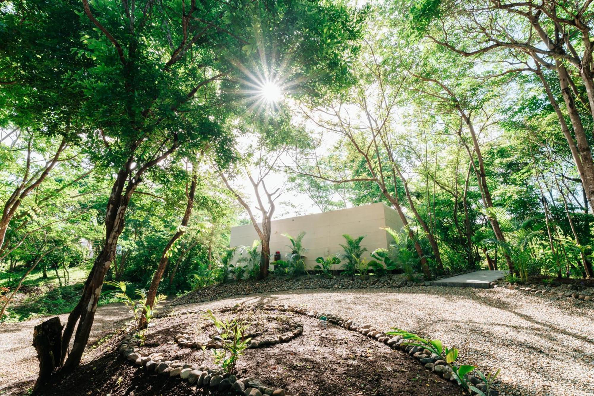 ホテル Alaya Yoga & Surf & Retreat プラヤ・ベナオ エクステリア 写真